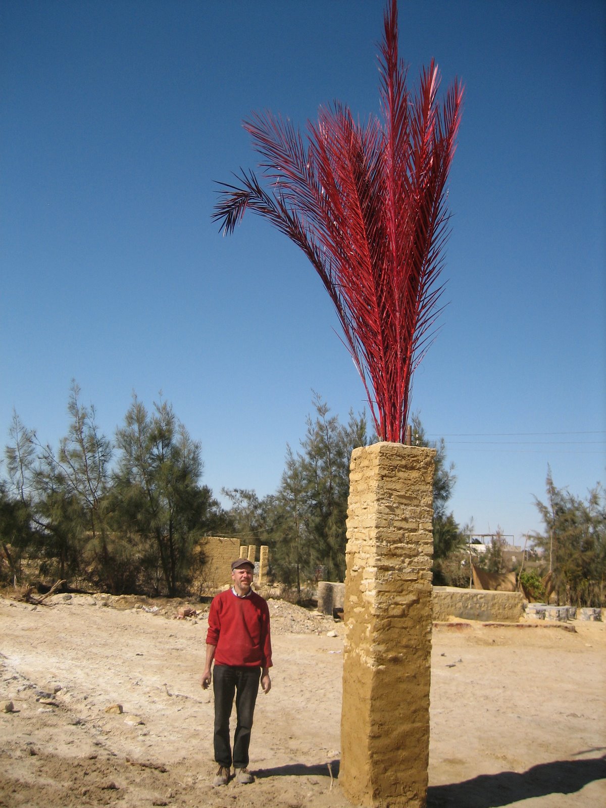 Palme (2008)